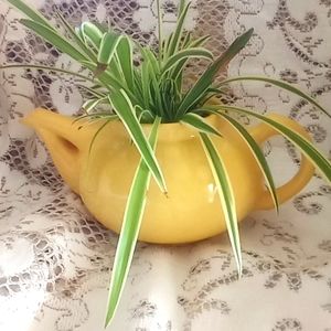 Vintage metlox teapot with 3 airplane plants